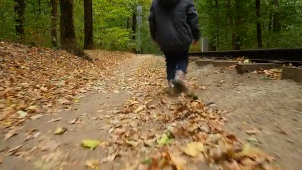 Un bambino cammina attraverso la foresta autunnale. Vista posteriore, la ragazza cammina lungo le foglie autunnali — Video Stock