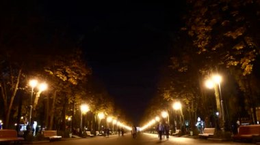 Timelapse gece hayatı eğlence parkı