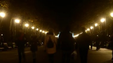 Timelapse gece hayatı eğlence parkı