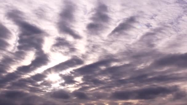 구름의 움직임의 시간 경과. 자주색 색조와 함께 아름 다운 하늘 — 비디오