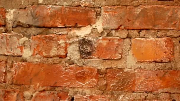 Wall of red brick. Video for the background — Stock Video