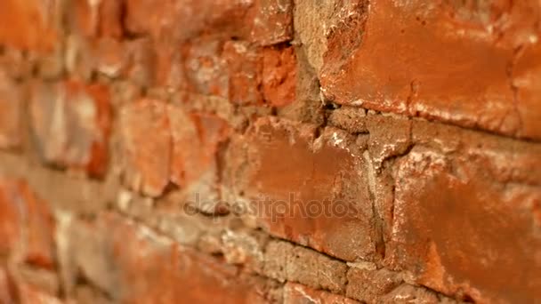 Mur de briques rouges. Vidéo pour le fond 