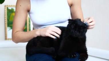 Güzel bir genç kız evinde dinleniyor. Siyah bir kedi bir kadının kollarında oturuyor