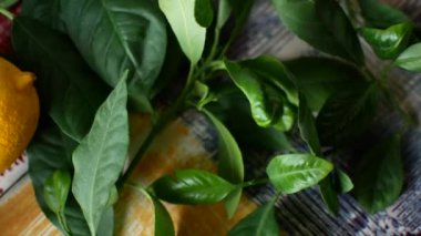 Limon yakın çekim yaprak. Ağaç dalları kırpılmış