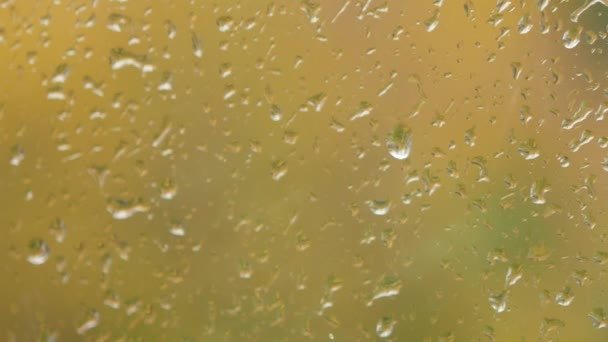 Lluvia cayendo sobre vidrio durante tormenta de lluvia — Vídeos de Stock