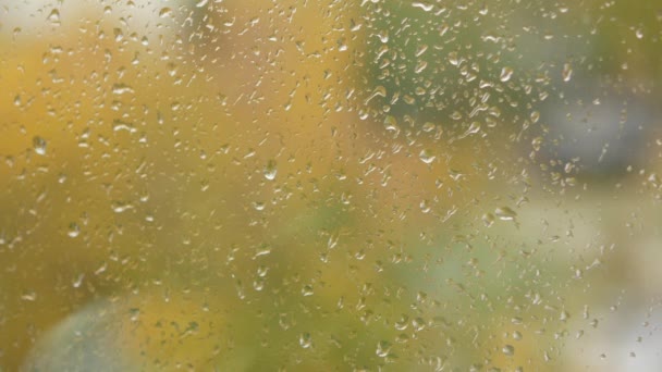 Deszcz padający na szkle podczas sztormu deszcz — Wideo stockowe