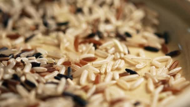 Brauner und unpolierter Reis wird auf einen Teller gegossen. Video mit verschüttetem Reis — Stockvideo