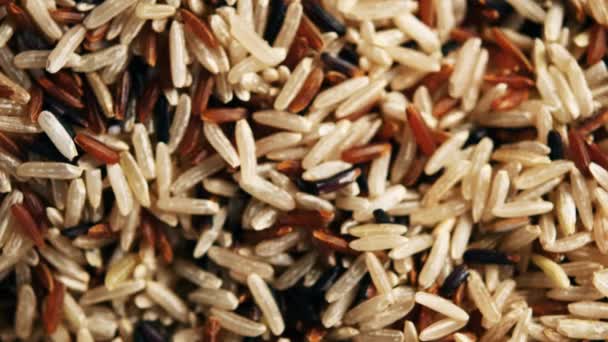 쌀은 대나무 지팡이로 선택 됩니다. 시네마 틱 동영상 원시 쌀에 넣어 젓가락 — 비디오