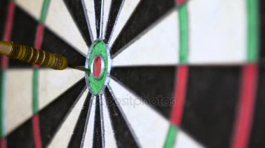 Dart boğaya aşık. Tam olarak hedef, spor ve iş motivasyon