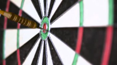 Dart boğaya aşık. Tam olarak hedef, spor ve iş motivasyon