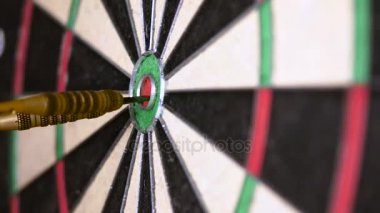 Dart boğaya aşık. Tam olarak hedef, spor ve iş motivasyon