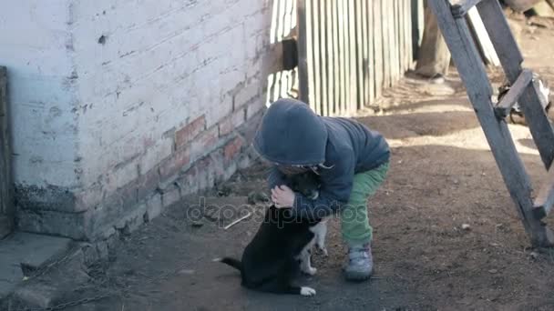 Ребенок целует щенка, ребенок играет со своей маленькой собачкой . — стоковое видео
