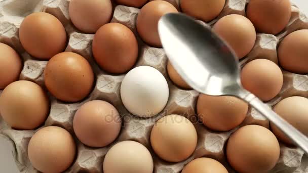 Белое яйцо среди коричневых разбито . — стоковое видео