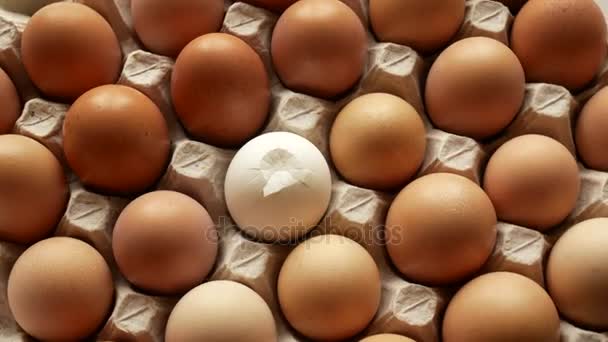 Eieren aan een kartonnen dienblad, een van hen is gebroken. — Stockvideo