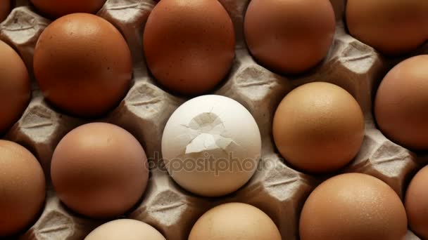 Яйца к картонному подносу, один из них сломан . — стоковое видео