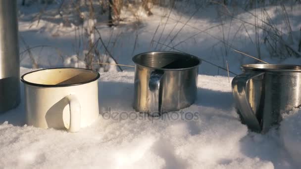 Canecas caminhadas na neve na floresta de inverno . — Vídeo de Stock