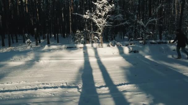 Tata alergând pe calea acoperită de zăpadă și trăgând fiul pe o sanie în parcul de iarnă . — Videoclip de stoc