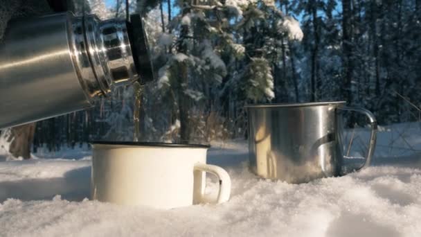 Hiking mugs on the snow in the winter forest. — Stock Video
