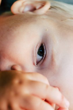 Güzel küçük bebek portresi