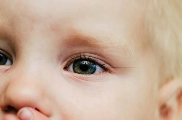 子供緑目 — ストック写真