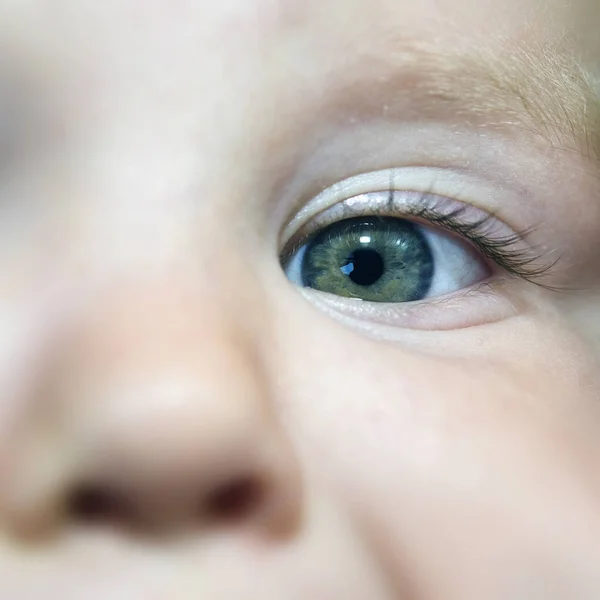 Child green eye