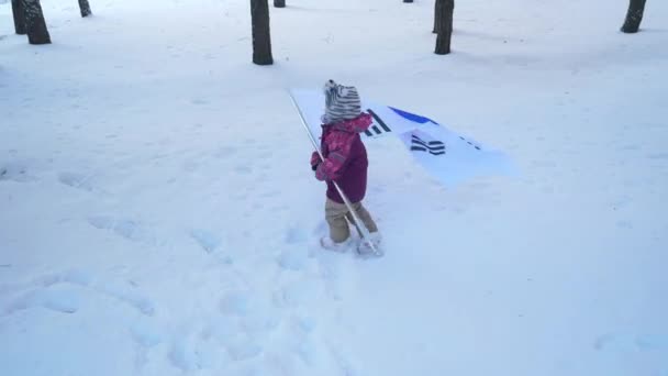 Μικρό κορίτσι με τη σημαία της Νότιας Κορέας. Χειμώνας δάσος. — Αρχείο Βίντεο