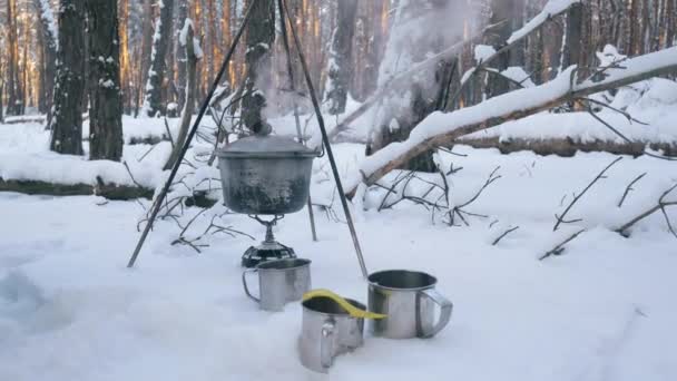 Bliska gotowanie jedzenie na przenośne turystyczny palnik gazowy w lesie. 4k — Wideo stockowe