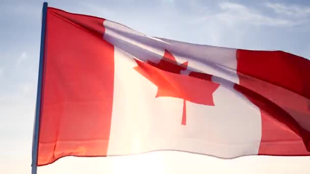 Bandera de Canadá ondeando en un día ventoso. Rojo y Blanco, los colores de la Hoja de Arce — Vídeo de stock