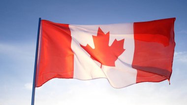 Картина, постер, плакат, фотообои "флаг канады на ясном голубом небе
", артикул 183350050