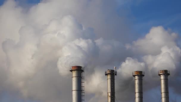 工場パイプから煙が。生態は脅威の下 — ストック動画