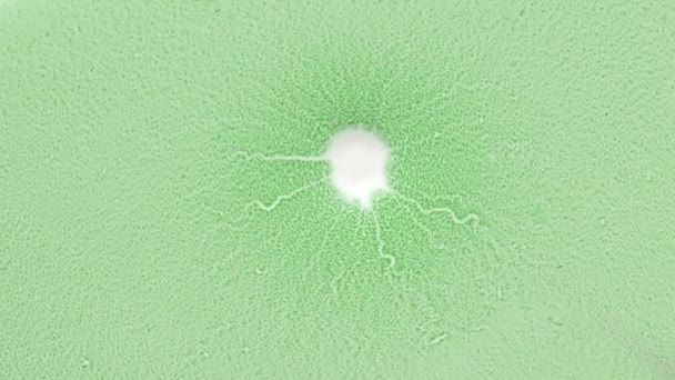 Il concetto di reazione chimica. Verde e bianco . — Video Stock