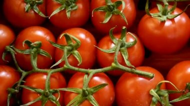Süpermarket tezgahın üzerine kırmızı domates.