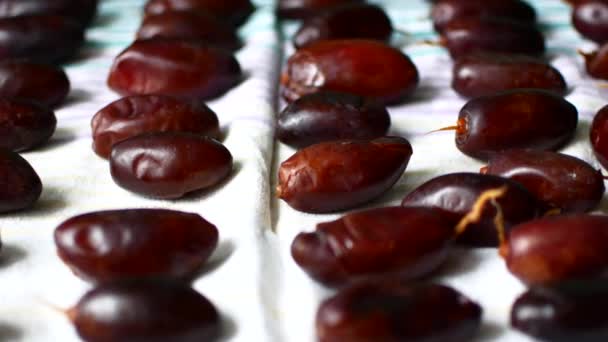 Dates lie on a baking sheet and dry — Stock Video