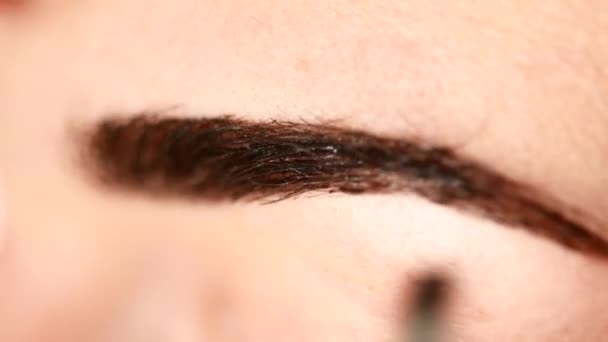 Gros plan sur la teinture des sourcils . — Video