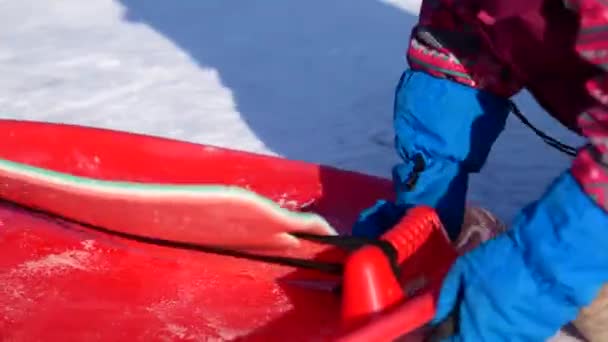 Niño en una caminata de invierno. Una chica está montando desde un tobogán de nieve en un plato de plástico . — Vídeos de Stock