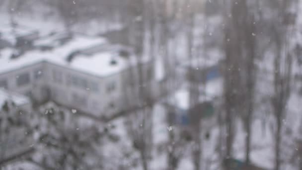 La nieve gira lentamente y cae, la vista desde la ventana del apartamento . — Vídeo de stock