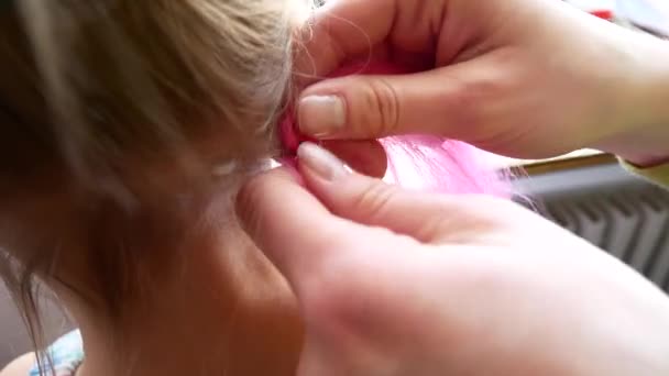 La chica está trenzada con trenzas africanas de colores — Vídeos de Stock