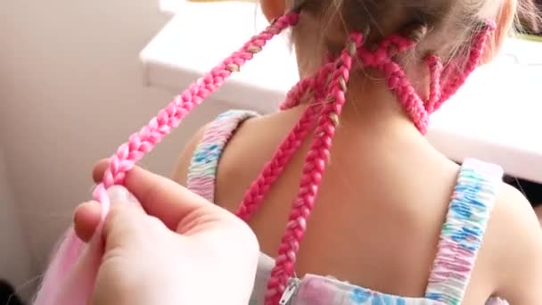 La chica está trenzada con trenzas africanas de colores — Vídeos de Stock