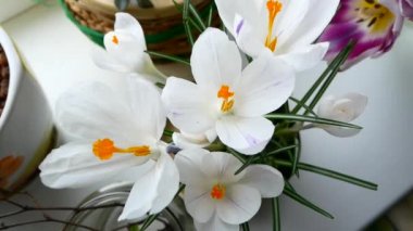 Farklı renkler, bir doğum günü partisi veya bir anneler günü bir buket.