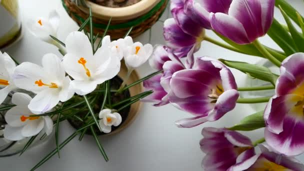 異なる色、誕生日や母の日の花束. — ストック動画