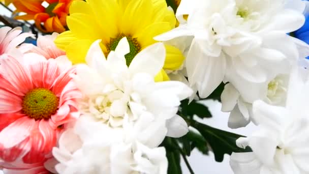 A bouquet of different colors, a birthday party or a mothers day. — Stock Video