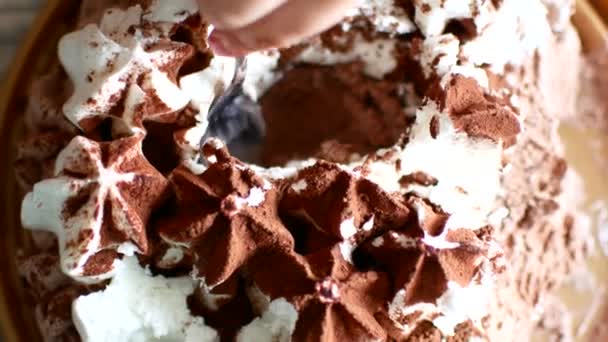 Cake-ice cream, close-up. The family eats it with spoons — Stock Video
