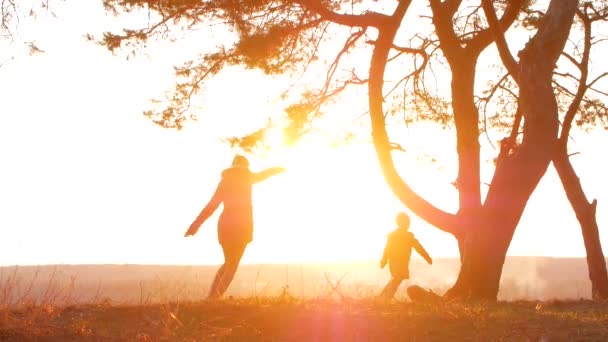 Siluetas madre y bebé puesta del sol — Vídeos de Stock