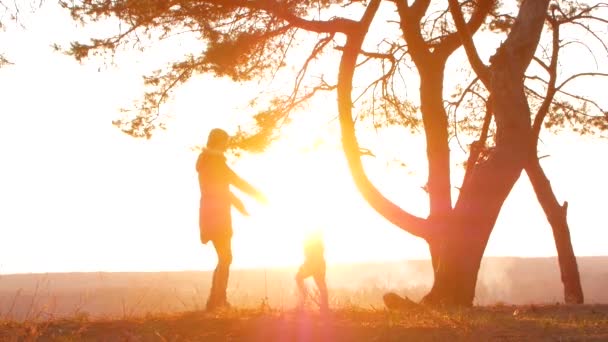 Silhouettes coucher de soleil mère et bébé — Video