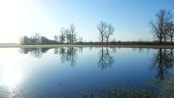 Озеро в поле панорамный вид. Кристально чистое спокойное поливание — стоковое видео