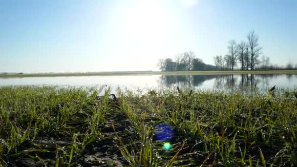 Lago en campo vista panorámica. Crystal riego calma clara — Vídeos de Stock