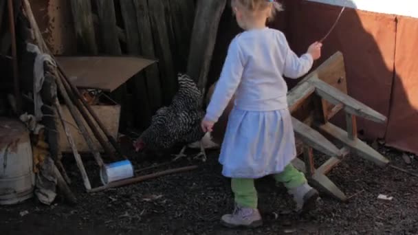 Jeune fille blonde chassant les poulets à l'extérieur — Video
