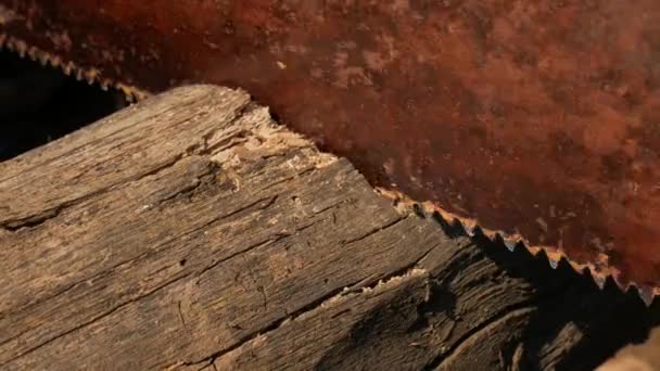 人锯木条生锈的手锯 — 图库视频影像