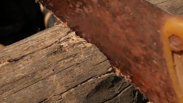 El hombre sierra barra de madera oxidada sierra a mano — Vídeos de Stock