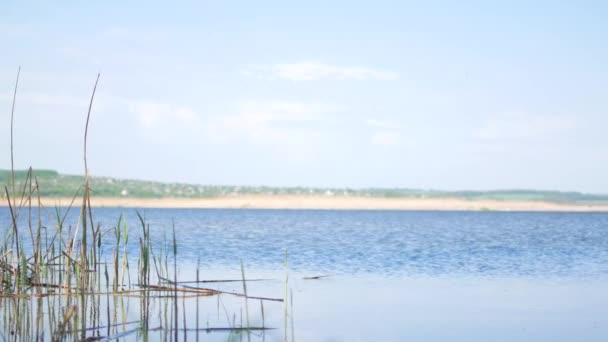 Turbinas eólicas sobre el lago en un día soleado — Vídeos de Stock